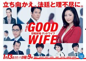 傲骨贤妻策驰影院